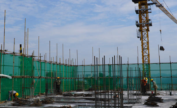 标准员找工作要求是什么样的呢(标准员求职要求)